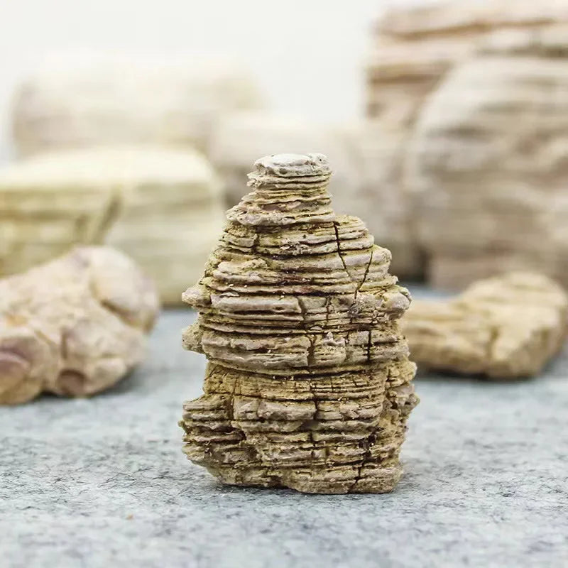 250g 500g 1000g Natural Aquarium Decor Stone Rockery Landscaping Fish Tank Microporous Stone Good for Plants Growth
