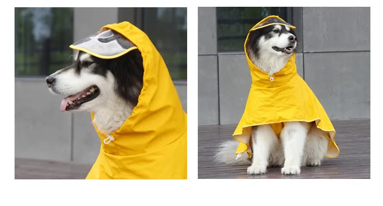 Teddy Cgi Golden Dog Clothes Egg Olk Man PU Waterproof Jacket Dog Raincoat Pet Supplies Waterproof Outdoor