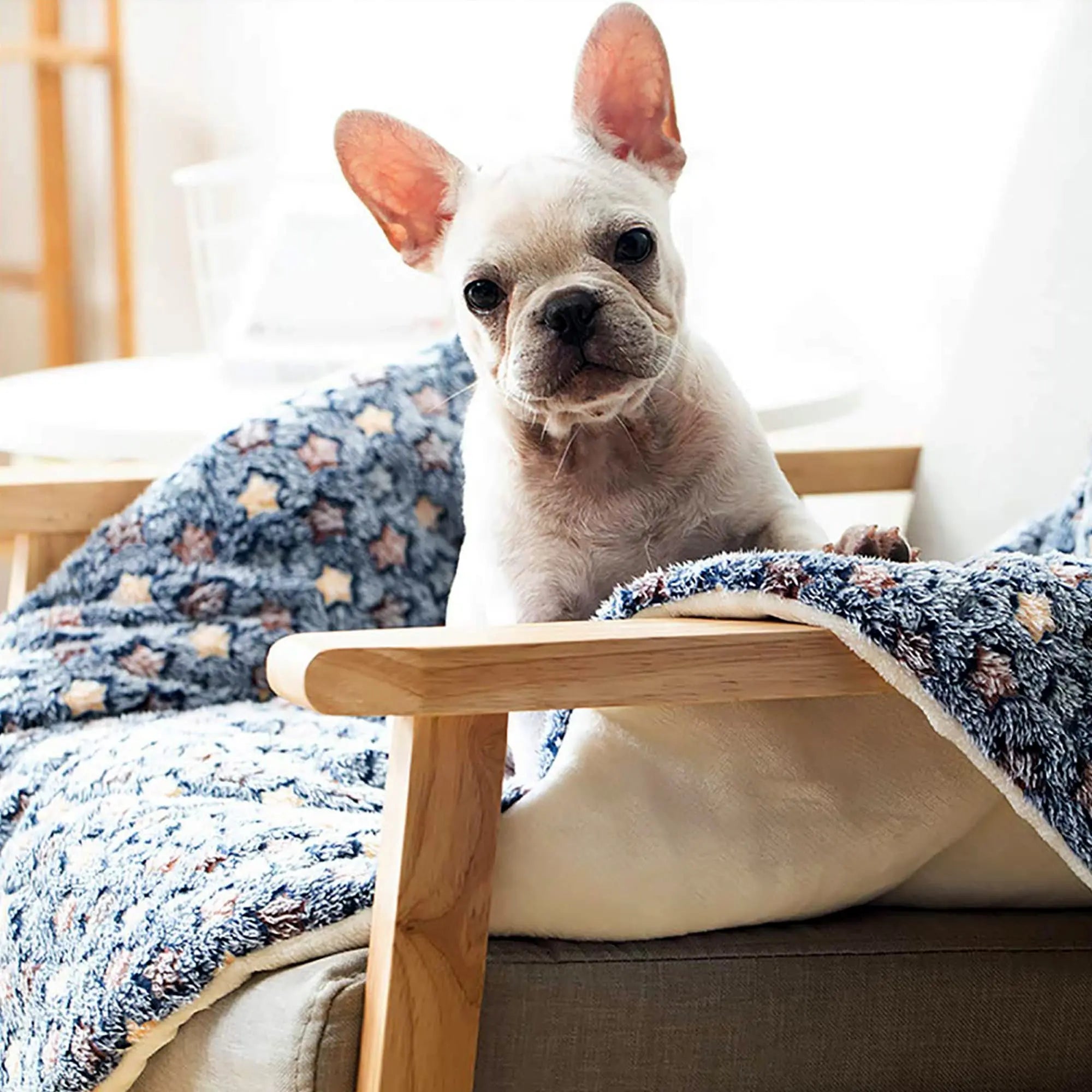 Multi-model pet flannel winter sleeping mat kennel mat blanket pet warm mat suitable for large medium and small pets