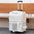 Double Layer Breathable Pet Carrier with Wheels Foldable Outdoor Travel Cat Trolley Case for Two Cats Portable Pet Trolley bag - Play Paws Toys