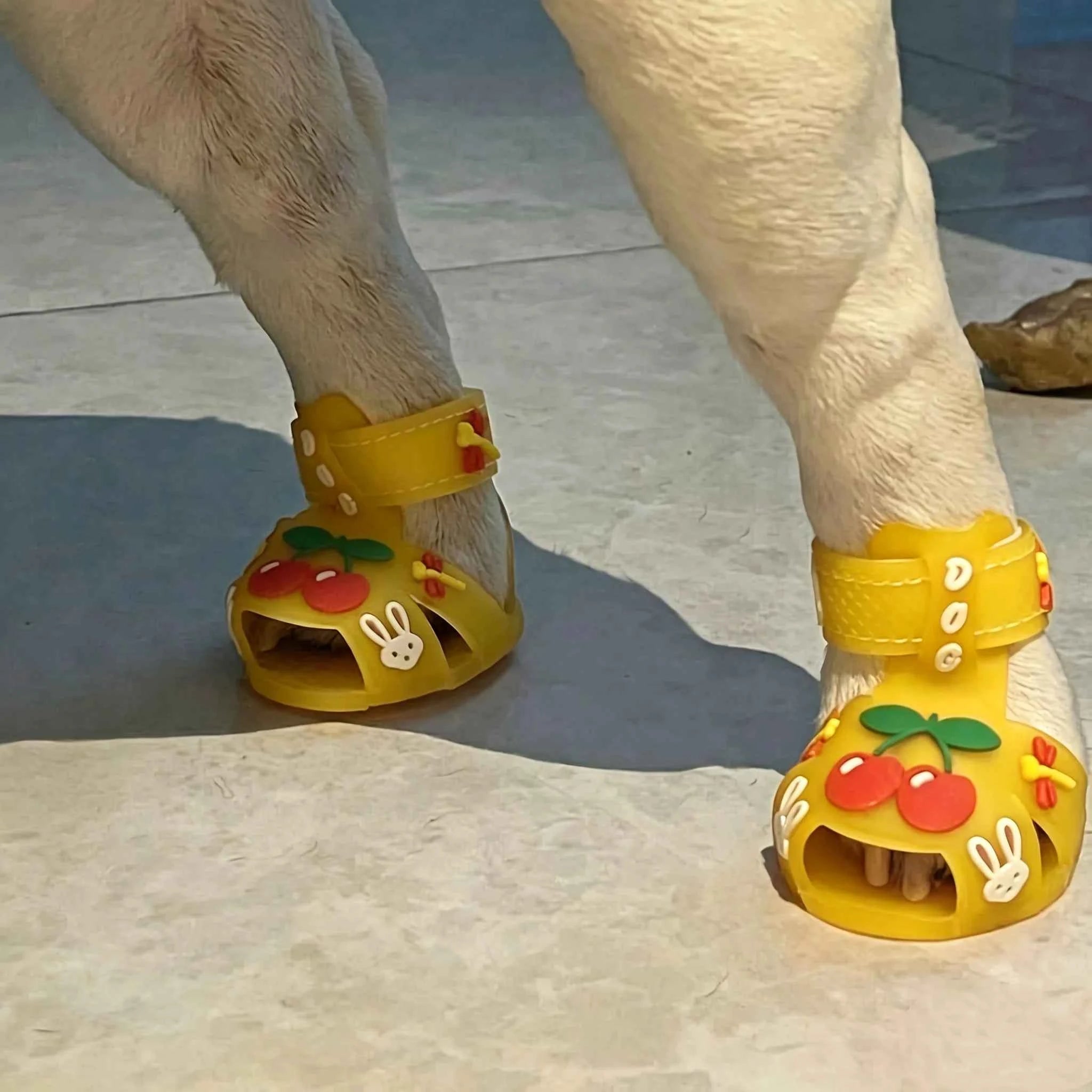 Small dog pet jelly sandals rain shoes teddy bear outdoor sandals pet shoes silicone cool pet shoes dog shoes