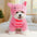 Creative Cosplay Clothes for Small Medium Dogs Bear Tiger Animal Flannel Cat Hoodie New Year Winter French Bulldog Puppy Outfits