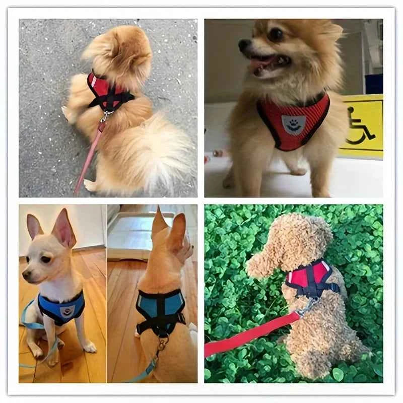 Cat Harness Adjustable, Escape-Proof Breathable Mesh with Reflective Vest  5-Foot Leash - Safe, Durable Outdoor Adventures