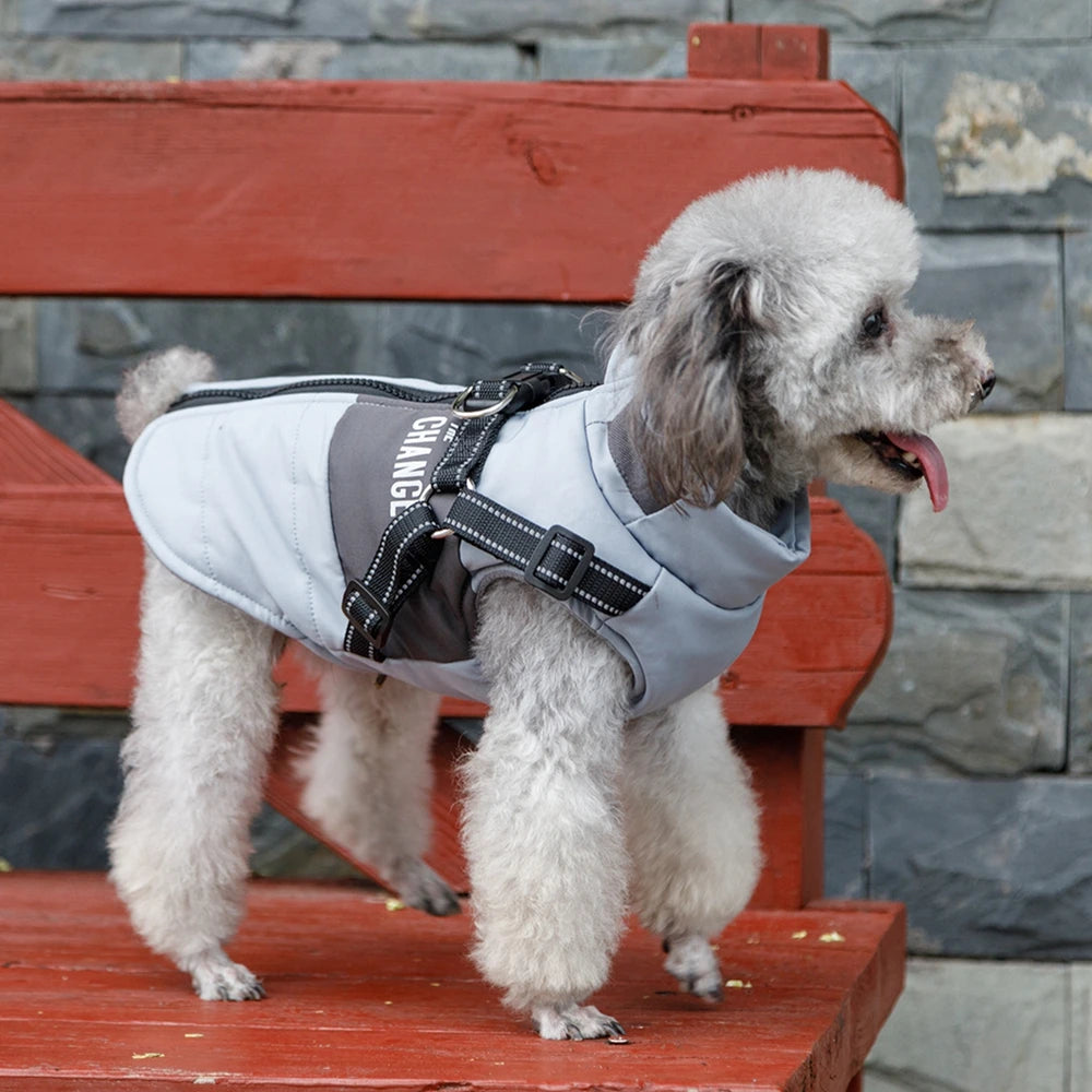 Pet Dog Wind Breaker with Dual D Leash Vest Dog Jacket Warm Dog Hoodie Warm Dog Clothes