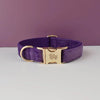 Velvet Collar Free Engrave Dog Collar Leash For Medium Big Pet Necklace Dog Accessories Dog Collars