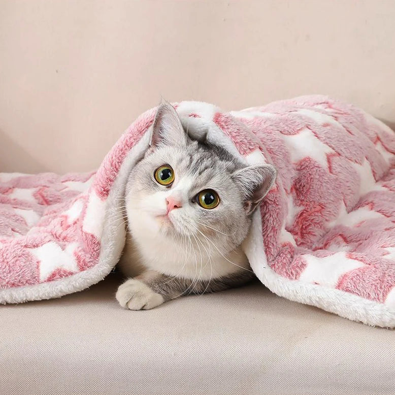 Multi-model pet flannel winter sleeping mat kennel mat blanket pet warm mat suitable for large medium and small pets