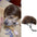 Dogs Cats Hair Hat Funny Pet Wigs Cosplay Props Costumes Head Accessories for Halloowen Christmas Gift