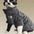 Winter pet dog dog cat coat cold proof hairless cat clothes sphinx devon thick winter warm three-color lambswool coat - Play Paws Toys