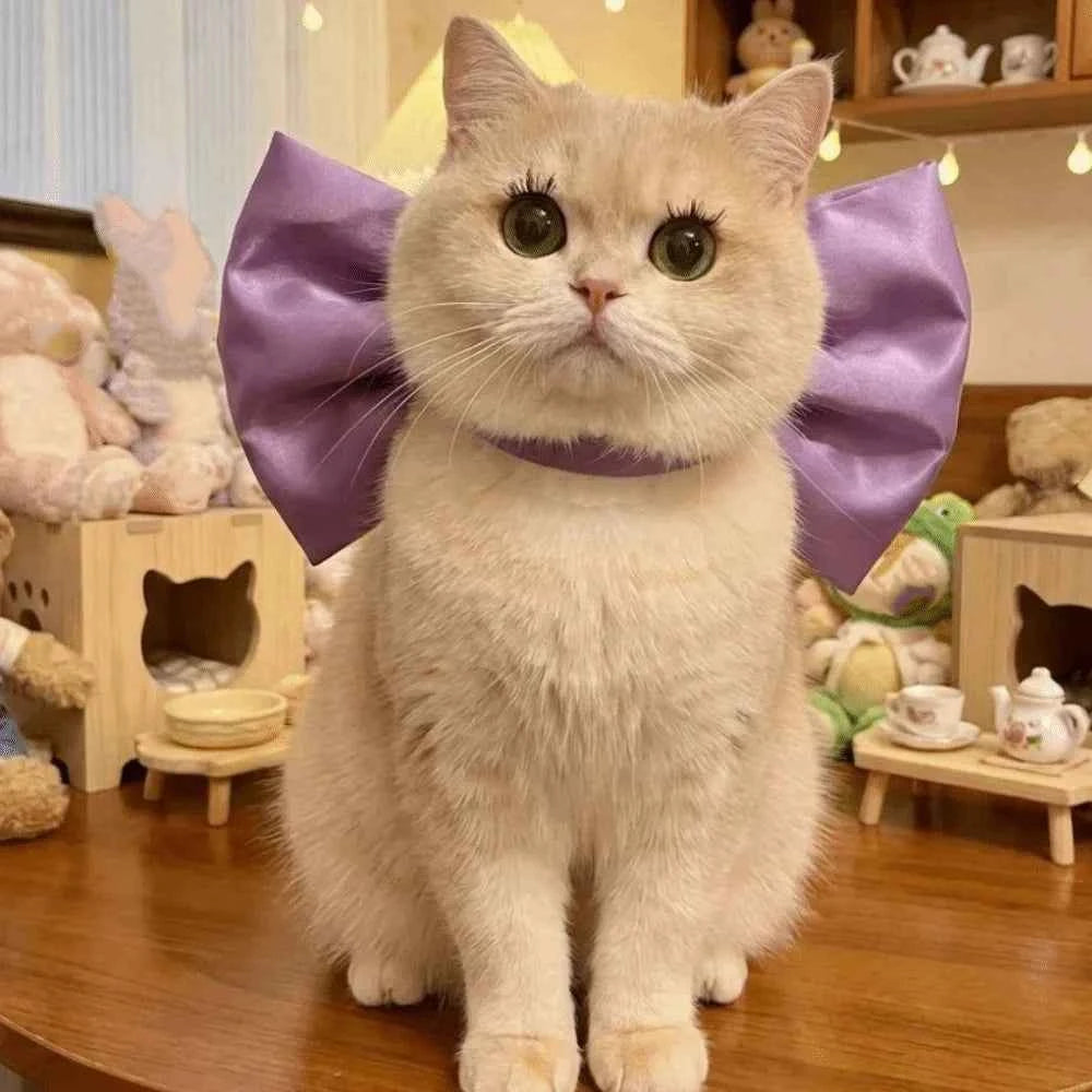 Fashion Adjustable Cat Bow Headwear Formal Decorative Pet Necklace Elegant Decorative Bowtie Wedding Party