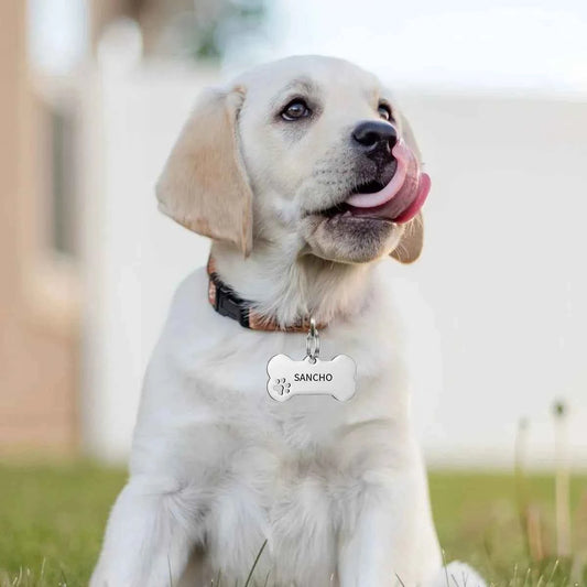 Personalized Engraved High Quality Dog Cat Tags with Name and Phone Number Bone Shaped Pet Pendant for Custom Pet Identification