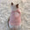 Cats Accessories Pets Warm Kittens Clothes for Winter Kitten Small Kitten Stuff Apparels Cooling Clothing Dog´s Sweater Vests - Play Paws Toys