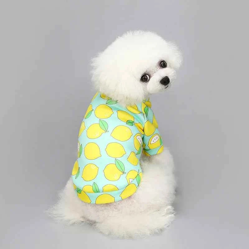 Dog Clothes Sweater Fleece Sweatshirt Pet Outfit Winter Clothes Cotton Puppy Hoodies for Small Medium Large Dogs