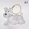 Clear Pet Hair Memorial Keepsake Capsule Dog Fur Container DIY Pendant Keychain Decor Animal Lovers Home Display Gift Idea