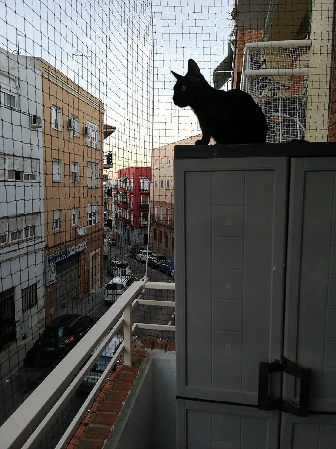 Steel Reinforced Cat Netting for Balcony- Cat Anti Fall Netting,Garden Net Anti Bird Net with Wire,Safety Netting Fence for Pets - Play Paws Toys