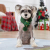 Winter Warm Puppy Dog Cat Scarf Christmas Cute  Pet Accessories for Small Medium Dogs Poodle Yorkshire Scarves mascotas Products