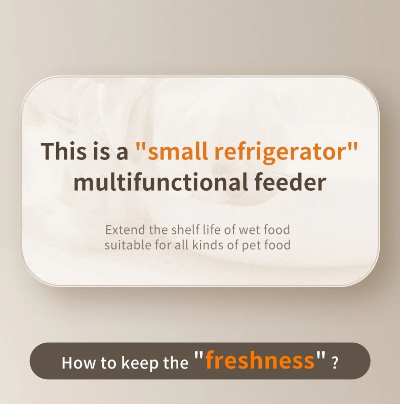 ROJECO 6 Meals Automatic Pet Feeder Smart Cat Food Dispenser For Wet & Dry Food Kibble Dispenser Accessories Auto Feeder For Cat