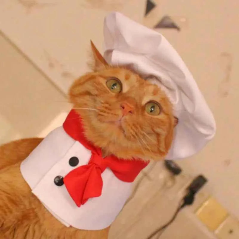 Funny Cat Chef Costume,Party Cosplay Outfit with Hat for Kittens, Cute Cooking Baker Pet Dress Up Party Apparel Free Shipping
