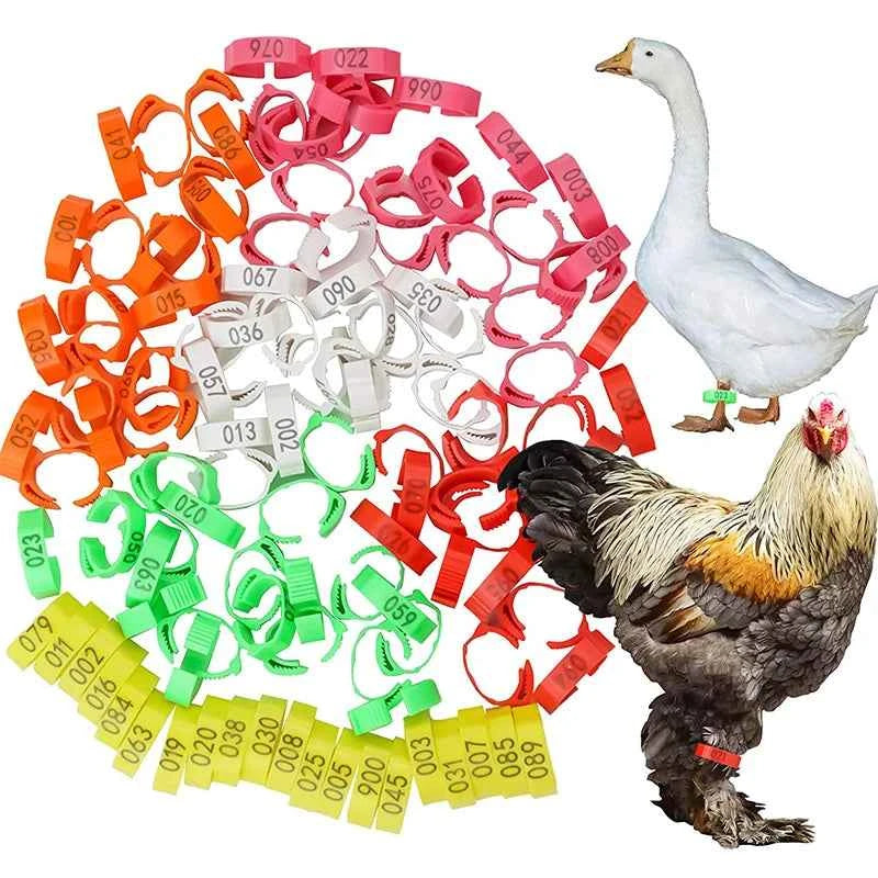 10-50PCS High-quality Chicken Foot Ring 6 Colors Numbered Identification Leg Rings Clip for Poultry Chickens Ducks Geese Parrot