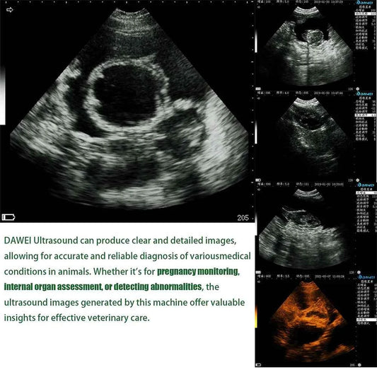 Portable Veterinary Ultrasound Scanner for Pregnancy Vet B Ultra Machine with 3.5MHz Convex Probe for Pig Sheep Dog Animals