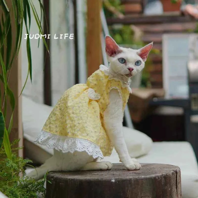German Shorthair Cat Summer Bubble Cotton Yellow Floral Puffy Lace Heml's Dress Cats Clothes Kawaii Clothes