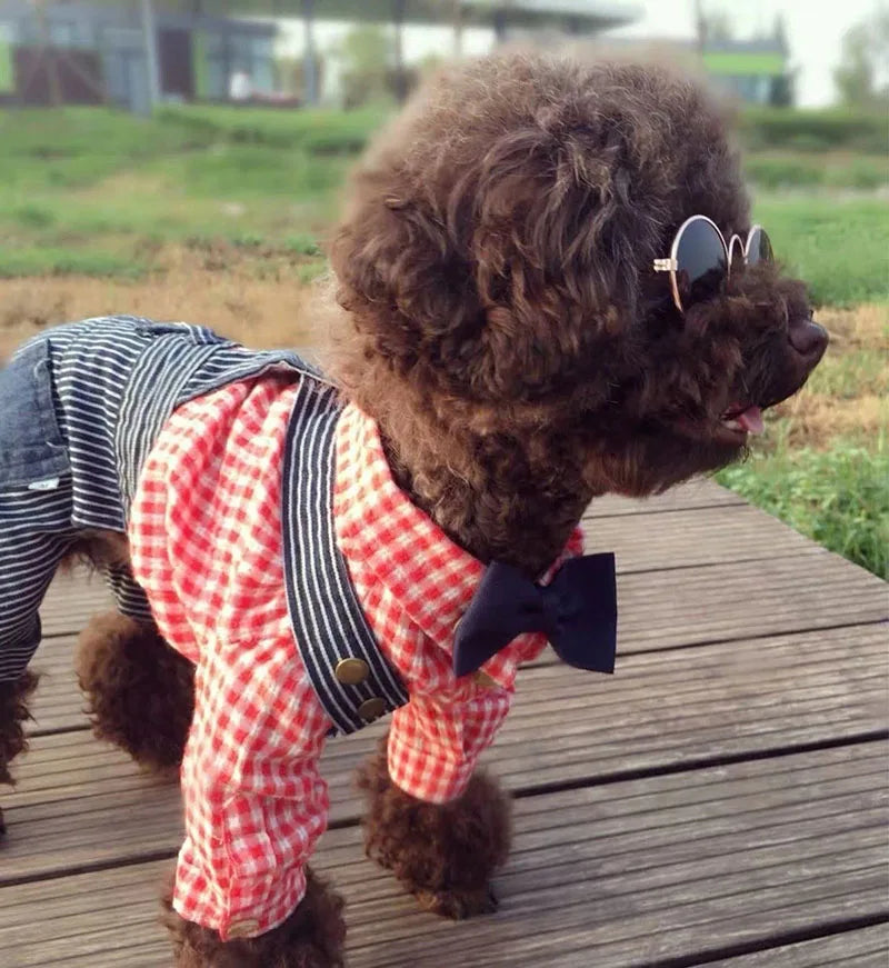 Pet Accessories Cat Glasses Non-slip Kitten Glasses Small Dog Sunglasses Puppy Kitty Cat Sunglasses Cosplay Costume Photos Props