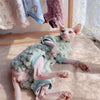Sphynx Cat Turtleneck Winter Green Sweater Hairless Cat Clothes Thick Warm 4-legged Coat Purple Fleece Jacket for Devon Rex - Play Paws Toys
