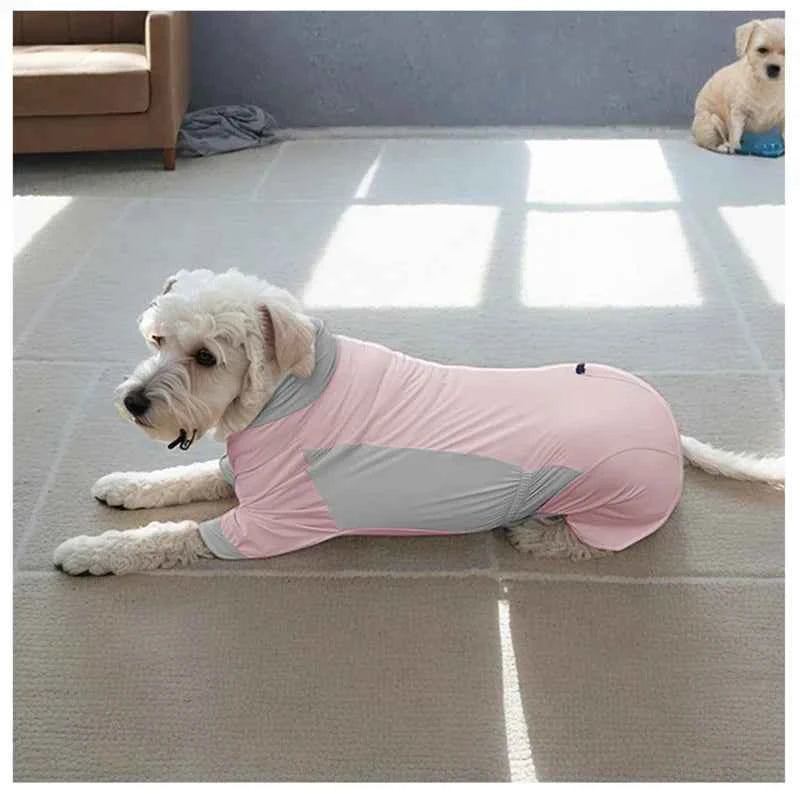 Summer Dog Clothes Jumpsuit Border Collie Labrador Samoyed Golden Retriever Husky Bichon Schnauzer Poodle Corgi Dog Clothing