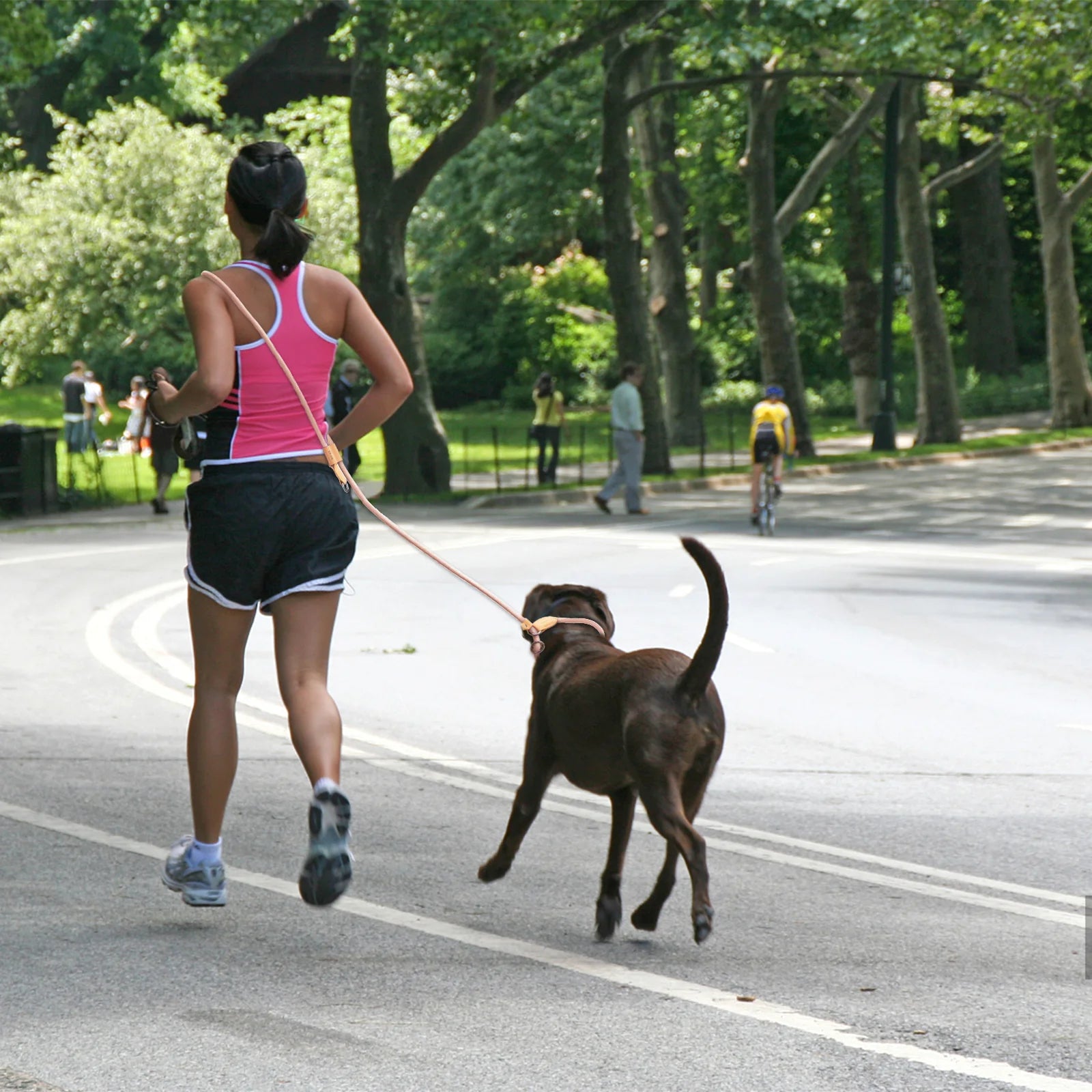 Multi-functional adjustable P-shape dog leash Chain Traction Rope Leads for Running Walking Free hands free leashes