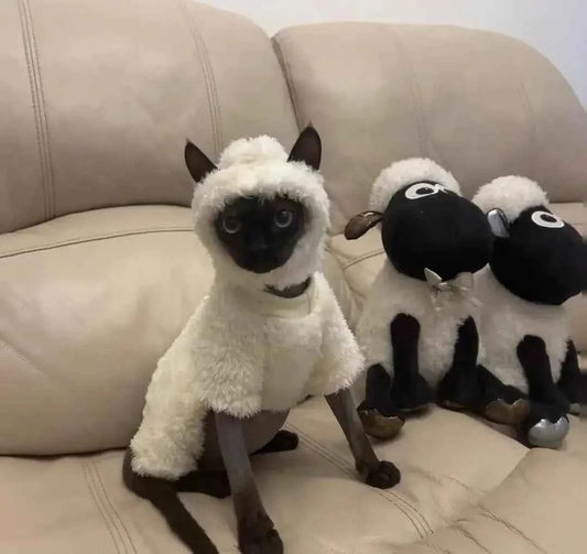 Hairless cat clothes autumn and winter thickened polar fleece warm four-legged sphinx devon cat lamb double-sided fleece cotton