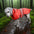1PC Dog Raincoat for Rainy Season Multiple Colors and Sizes Available Includes Hood Design