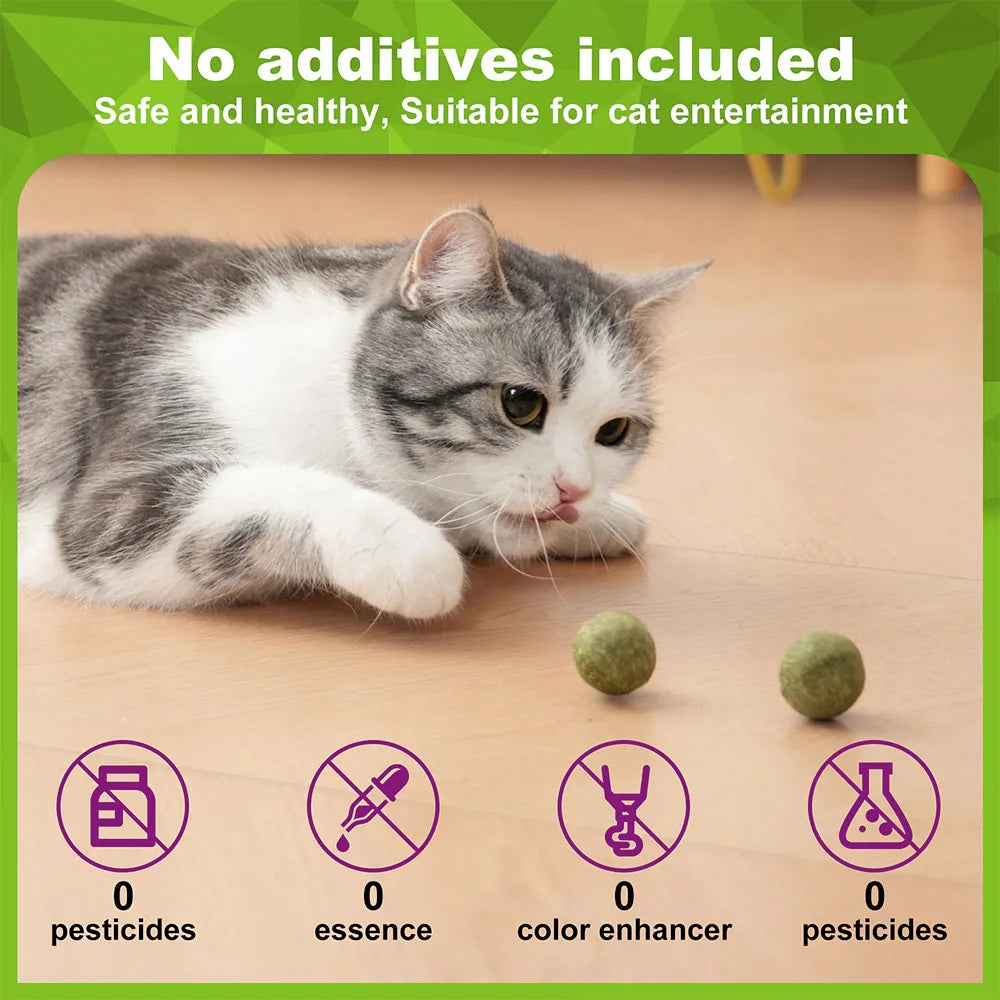 Organic 100% Natural High Quality Catnip Cattle Grass Mint Taste Funny Cat Toy New Cat Toy Interactive Cat Toys Pet Supplies