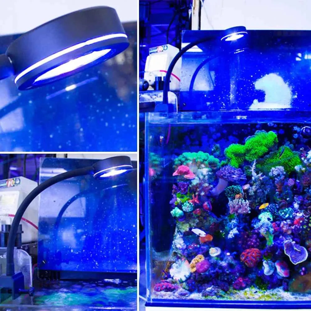 Aquarium LED light Marine coral SPS LPS Aquarium sea Reef Tank Blue White Beginner 90v-240v For 30-50 cm Seawater tank