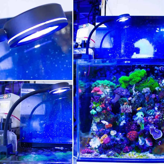 Aquarium LED light Marine coral SPS LPS Aquarium sea Reef Tank Blue White Beginner 90v-240v For 30-50 cm Seawater tank