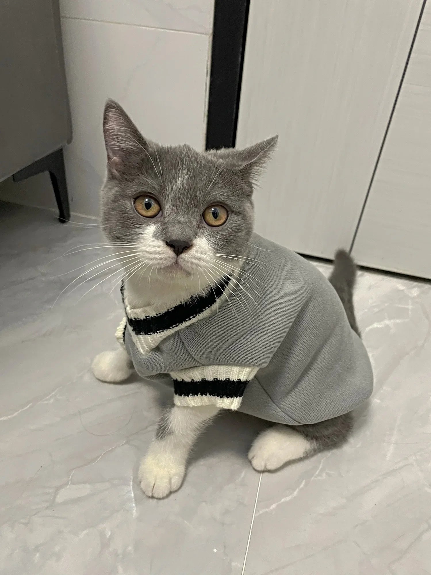Autumn Winter Pet Cat Dog Sweater Warm Coat For Small Medium Large Dogs Kitten Pullover Puppy Vest Warm Pet Clothes Cat Costume - Play Paws Toys