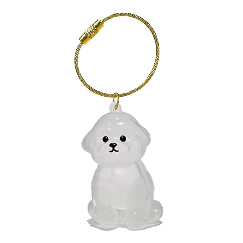 Clear Pet Hair Memorial Keepsake Capsule Dog Fur Container DIY Pendant Keychain Decor Animal Lovers Home Display Gift Idea