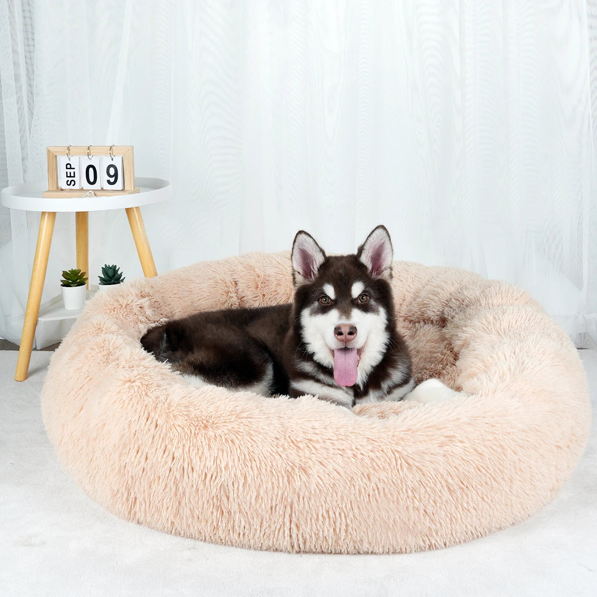 Dog Bed Donut Big Large Round Basket Winter Plush Beds for Dogs Medium Accessories Fluffy Kennel Small Puppy Pets Cat Products