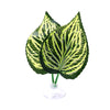 Fishtanks Decorations for Betta Fish Resting Bed Leaf Hammock Spawning Pad for Bettas Simulation Habitats AquaticPlant