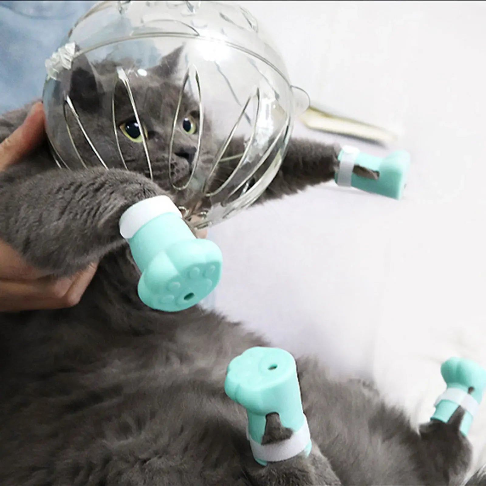 Cat Muzzle with 4Pcs Paw Cover Anti Bite Breathable Space Hood Cats Helmet Prevent Cats Small Dogs From Biting for Grooming