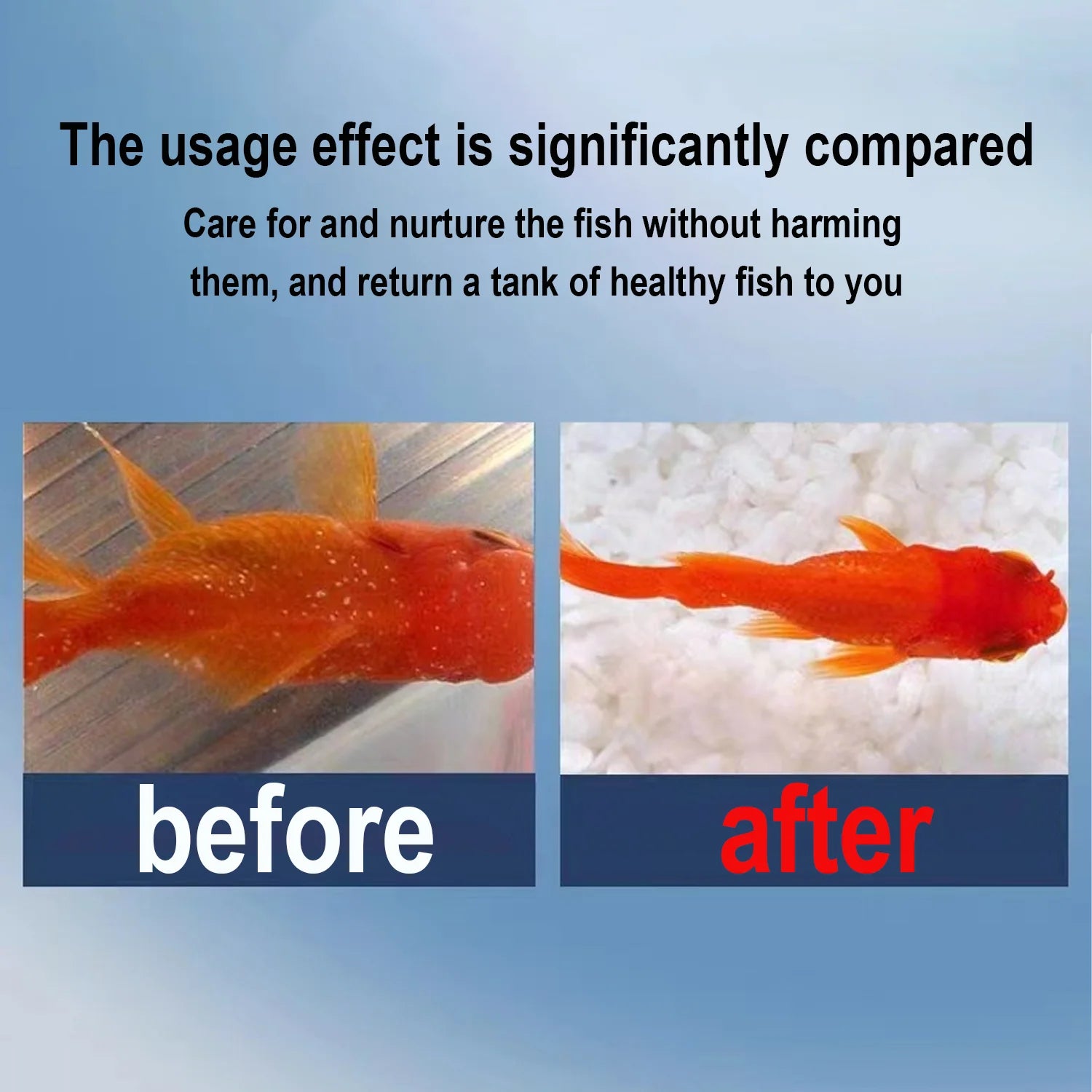 Methylene Blue Solution Aquarium Fish Treatment Medicine Anti Fungus Bacteria Parasite Cure Tropical Freshwater Marine Fish Tank