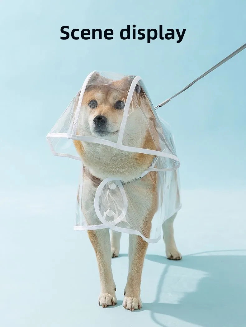 Pet Raincoat Transparent Dog Raincoat Waterproof and Windproof Pet Clothing Large Dog Pet Dog Dog Costume