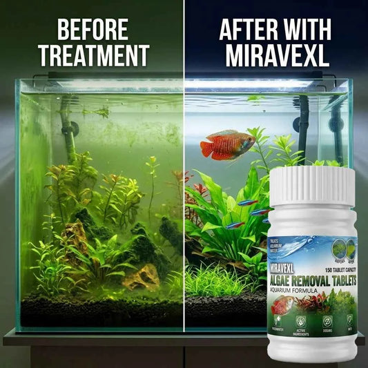 150 Tablets Fish Tank Algae Remover Aquarium Cleaner Rapid Green Water Treatment Algae Control Chips for Pond & Tank