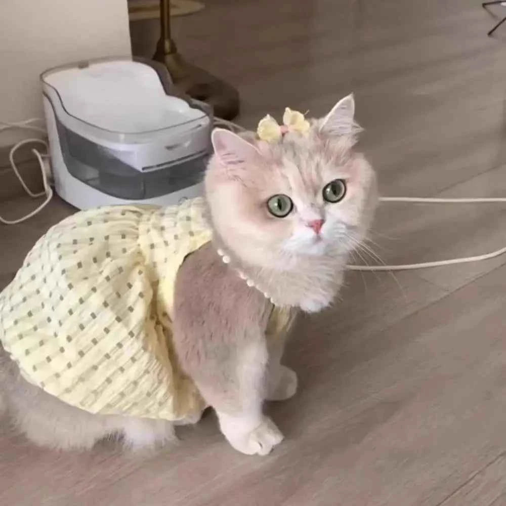 Fashion Dot Pet Dog Dress Sleeveless Summer Clothes Cat Princess Dresses Slim Style Pet Clothes Chihuahua Bichon French Bulldog