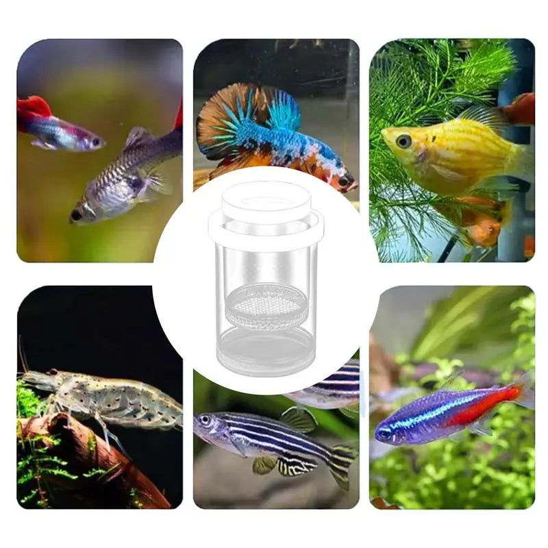 Floating Fish Breeding Isolation Box Aquarium Fish Tank Hatching Incubator Hatching Incubator Aquarium Hatchery Accessories