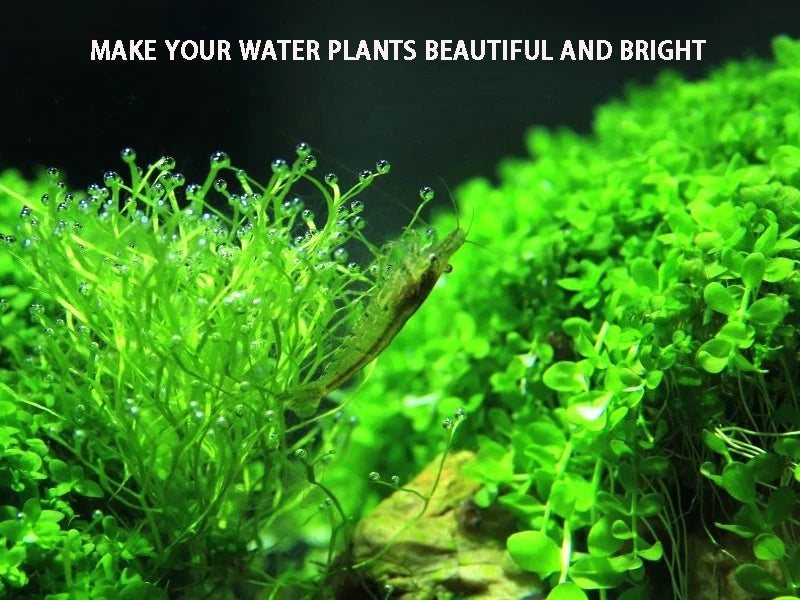 ZRDR Aquarium CO2 Generator Bubble Counter Electromagnetic Valve Steel Cylinder Raw Material Reaction Water Grass CO2 Generator