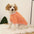 S-xxl Dog Clothes Dogs Vest Cat Costume Cooling Shirt Small Chihuahua Sweatshirt Xs Summer Pet Tank Top Pug Puppy Accessories