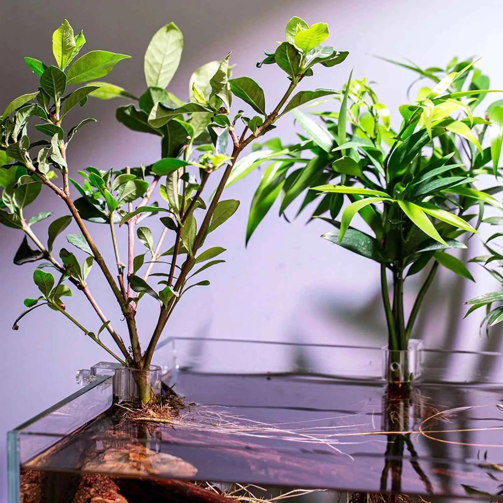 Mini Fish Tank Planter Pot 6Pcs Aquarium Plant Holder Support Cup Aquarium Feeder For Fish Tank Home Grow Planting Cultivation