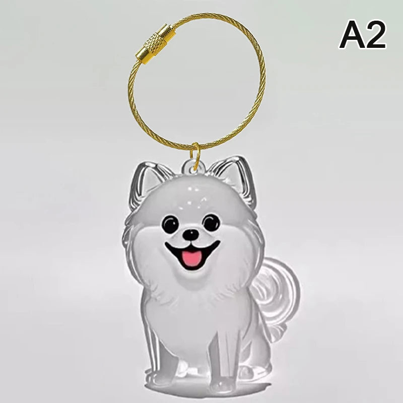 Clear Pet Hair Memorial Keepsake Capsule Dog Fur Container DIY Pendant Keychain Decor Animal Lovers Home Display Gift Idea