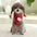 Winter Warm Puppy Dog Cat Scarf Christmas Cute  Pet Accessories for Small Medium Dogs Poodle Yorkshire Scarves mascotas Products