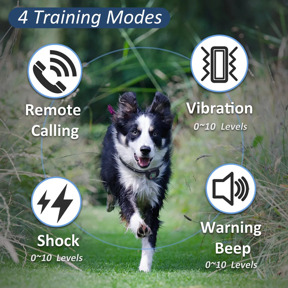 Dog Shock Collar 6500 ft Waterproof Training Collar for Dogs with Rechargeable Remote Beep Vibration Humane Shock Remote Calling