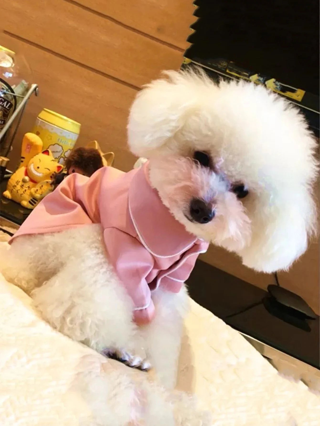 One luxurious and Comfortable Pajama for Pet Dogs Summer Dog Clothes for Small Dogs Suitable for Teddy, Bichon Frise,Yorkshire